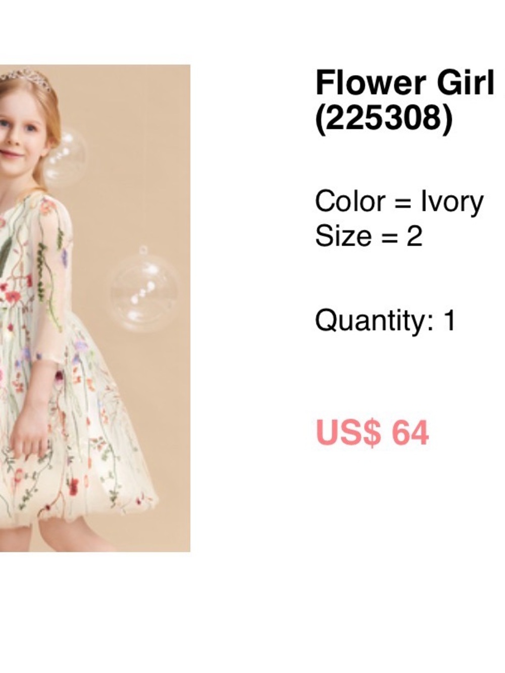 JJs House Ivory Floral Embroidered Tulle Dress for Kids